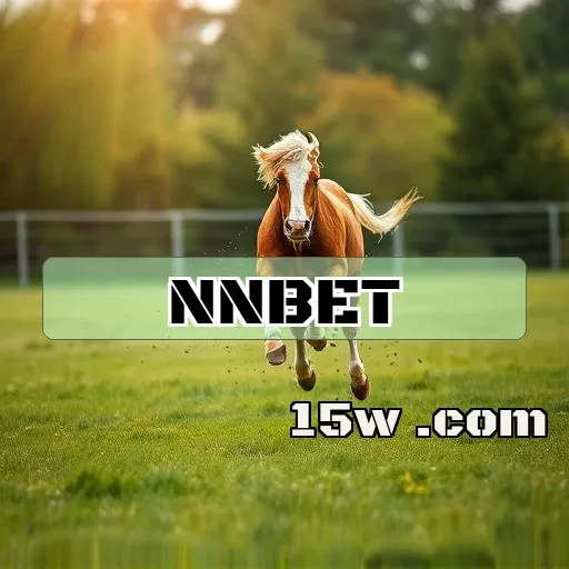 nnbet.com Segurança
